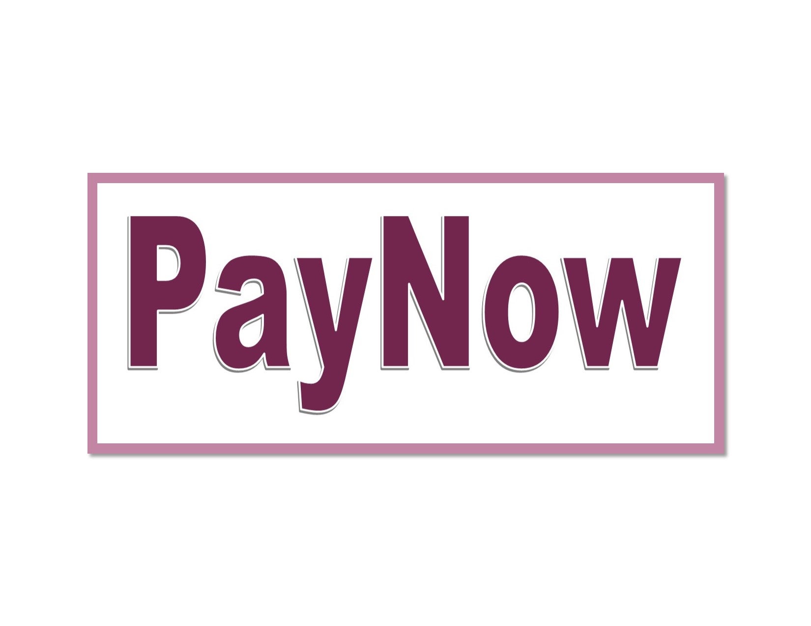 PayNow Icon